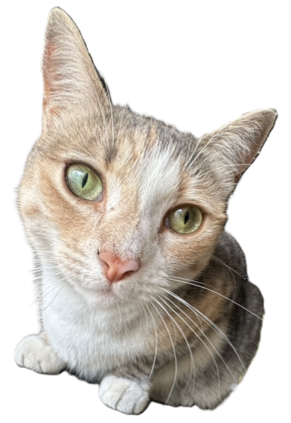 meow