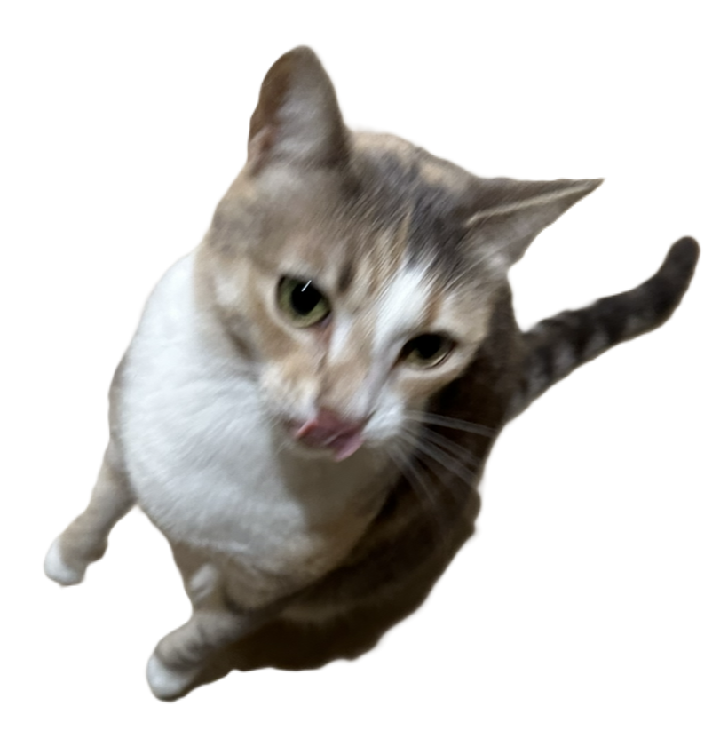 meow
