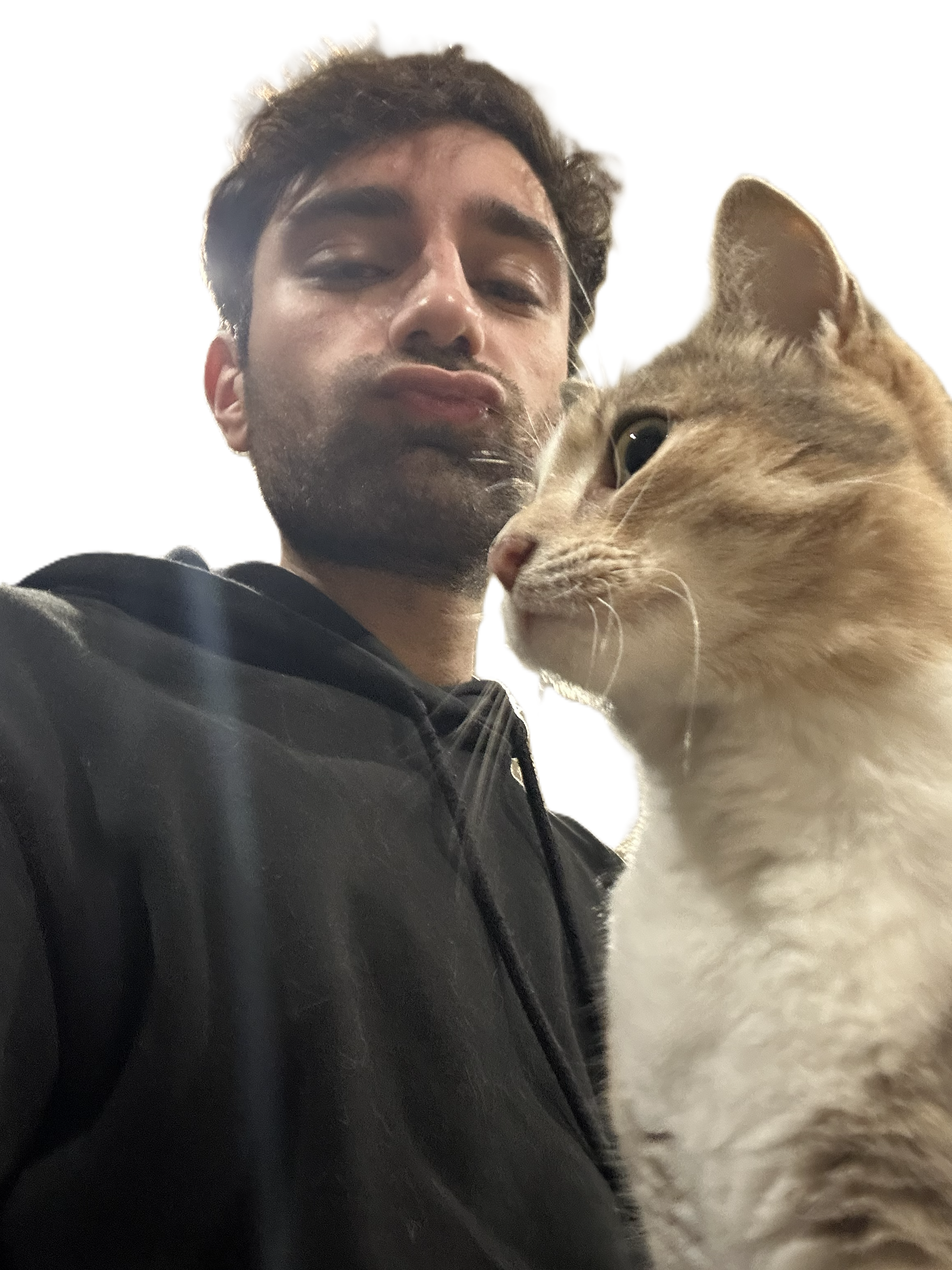 meow
